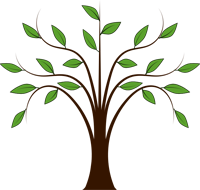 Elementary & Middle School Guidance Elementary & Middle School Guidance